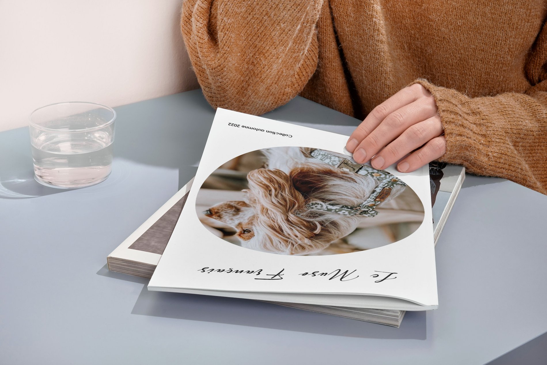 Création catalogue BtoB accessoires canins - Le Muso Français - Projet PAO professionnel